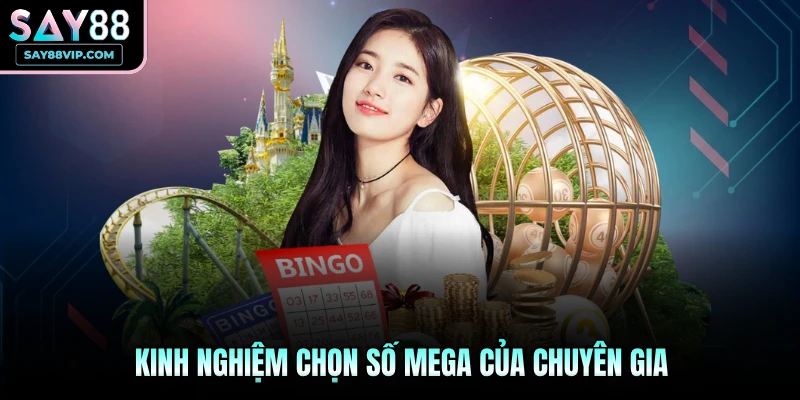 Kinh nghiệm chọn số Mega của chuyên gia